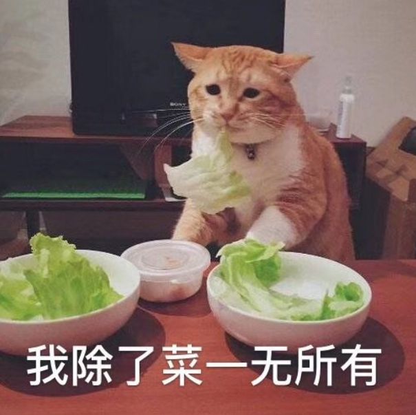 杠杆配资炒股有风险吗_杠杆炒股配资_杠杆配资炒股平台