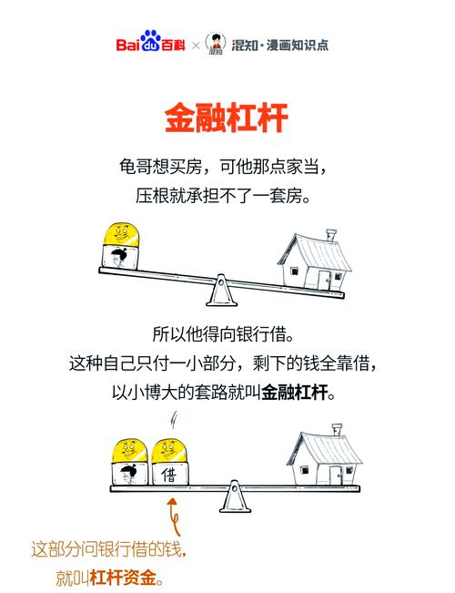 高收益高风险股票_什么是加杠杆炒股_杠杆股票投资方式