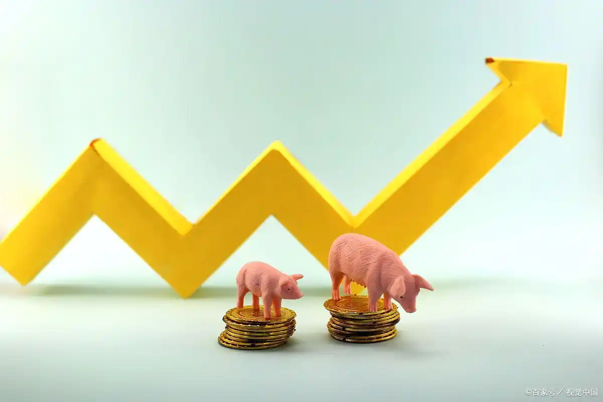 2万元融资融券操作方法_杠杆炒股定义与风险_杠杆炒股技巧