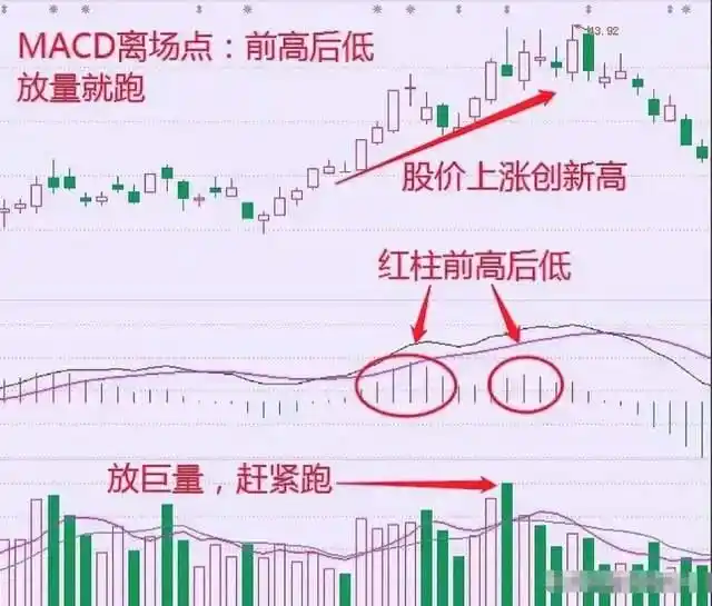 股市财富自由_长期价值投资_炒股赚钱