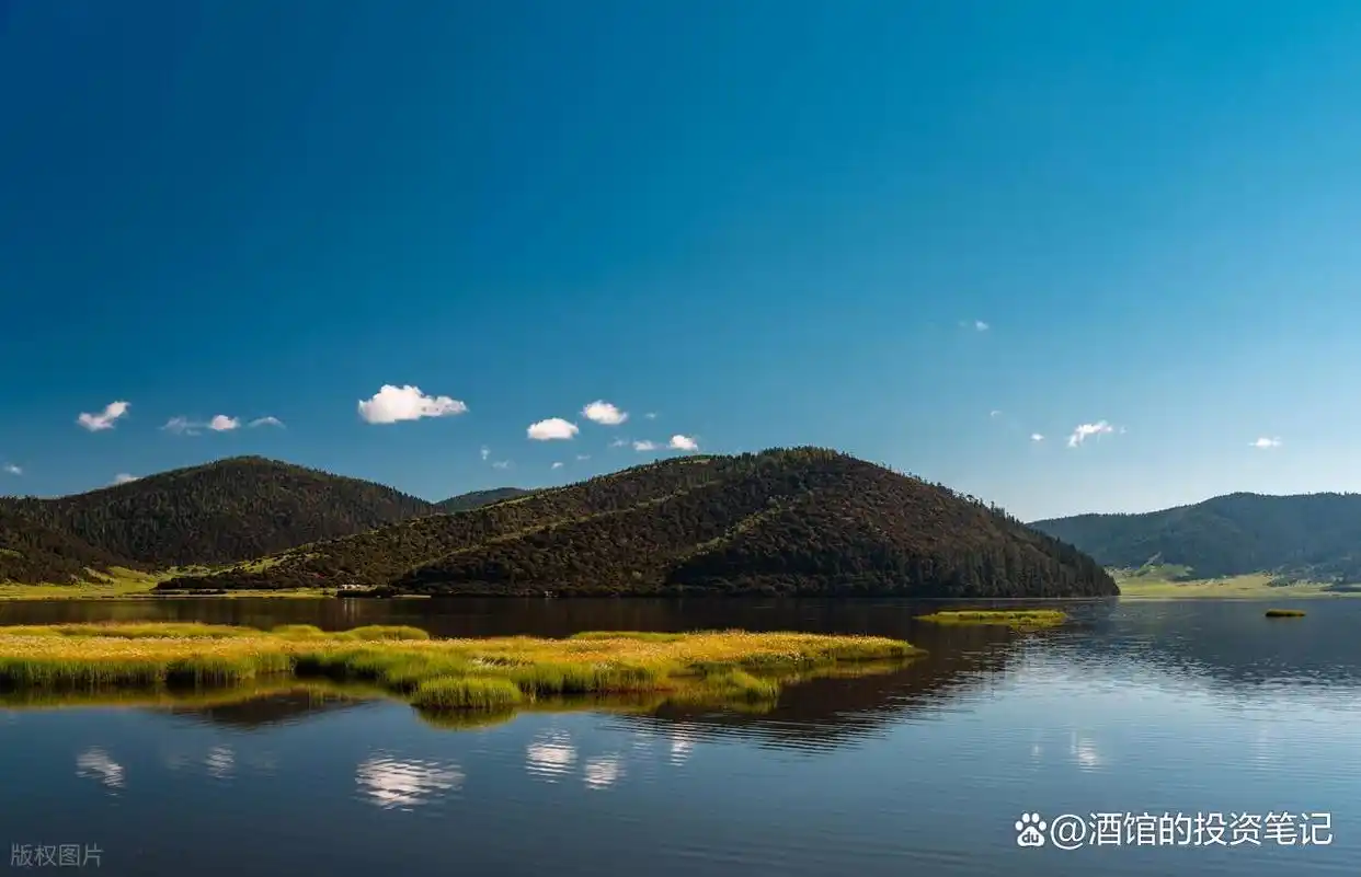 股东权益回报率_股票最稳的赚钱方法_炒股习惯