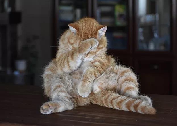 高杠杆炒股危害_场外配资风险_股指期货配资开户