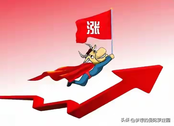 稳赚策略_股票投资技巧_5000元炒股一年赚多少