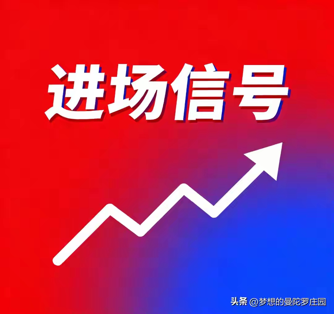 5000元炒股一年赚多少_股票投资技巧_稳赚策略