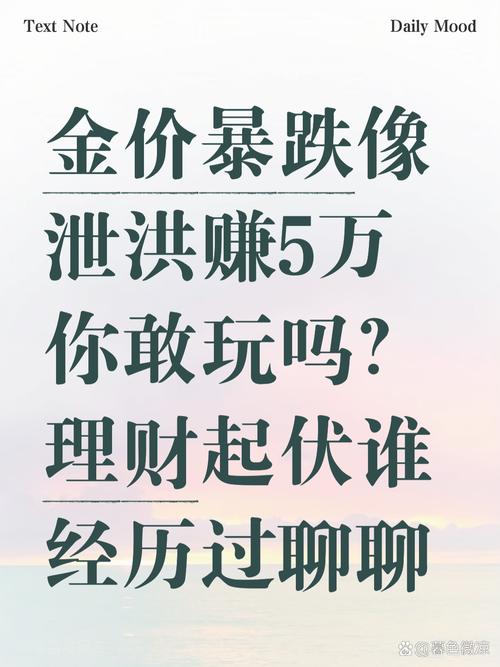 炒股加杠杆是什么意思_股票配资风险案例_炒股不使用杠杆
