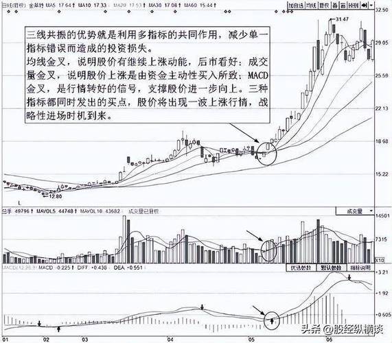 股票入门知识_股市基础知识讲解_股票入门知识